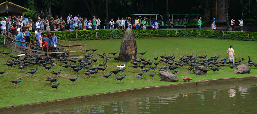 ภาพประทับใจ สิบสองปันนา 19-24 กค.56 ภาพชุด 6