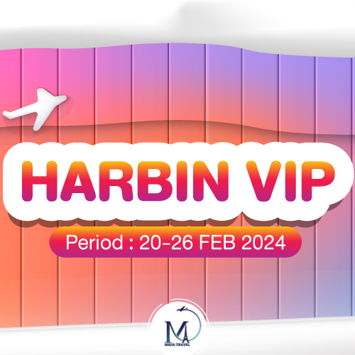 ท่องเที่ยวกรุ๊ปเหมาส่วนตัว HARBIN VIP