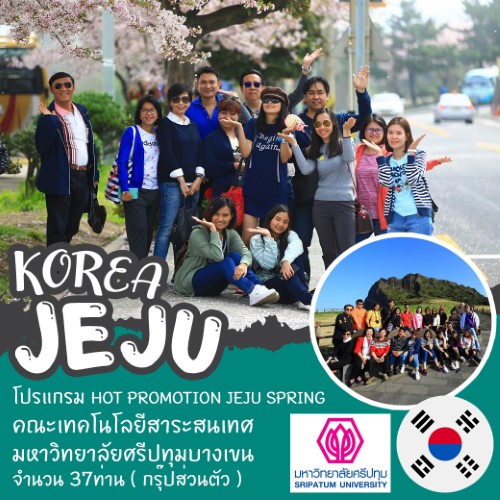 ทัวร์เกาหลี HOT PROMOTION JEJU SPRING คณะเทคโนโลยีสาระสนเทศ มหาวิทยาลัยศรีปทุม (กรุ๊ปส่วนตัว)