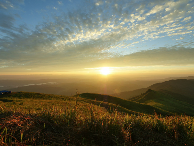 ดอยสวนยาหลวง ต.ผาตอ อ.ท่าวังผา จ.น่าน 