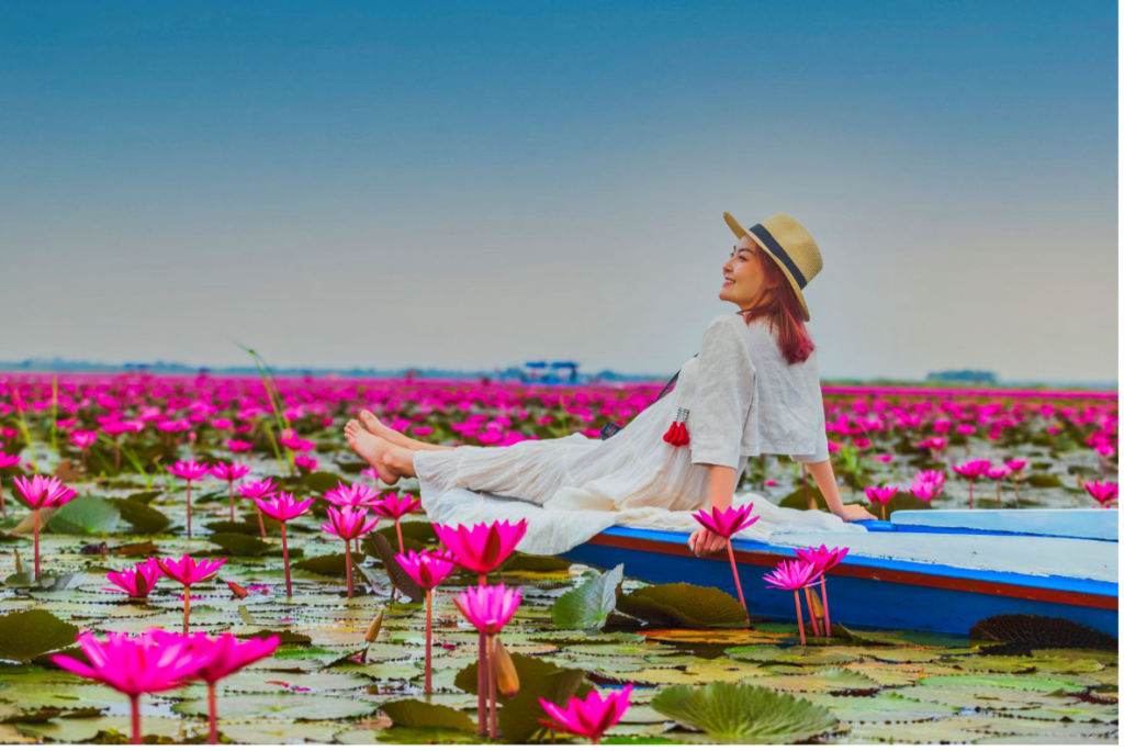 ทะเลบัวแดง หนองหานกุมภวาปี อุดรธานี