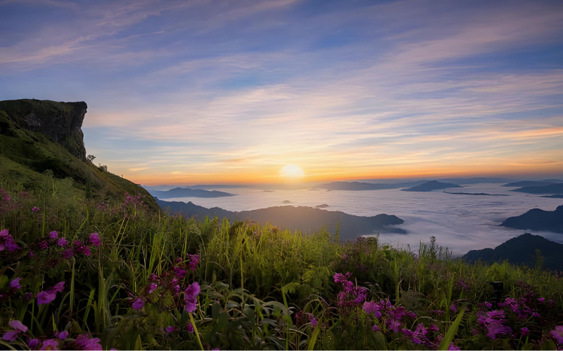 แนะนำที่เที่ยว ภูชี้ฟ้า 1 ในยอดดอยที่สวยสุดของไทย เชียงราย