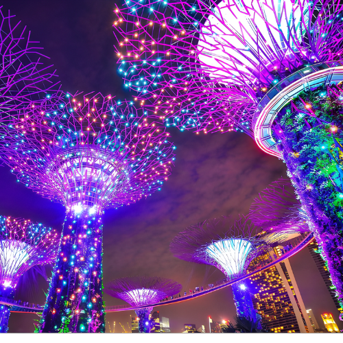 ชวนเที่ยวสวน Gardens by the Bay สิงคโปร์ 2024