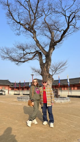 ภาพประทับใจ ทัวร์เกาหลี Korea flying Snow