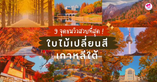 9 พิกัด ใบไม้เปลี่ยนสี เกาหลี สวยสุด ต้องปักหมุดรัวๆ !