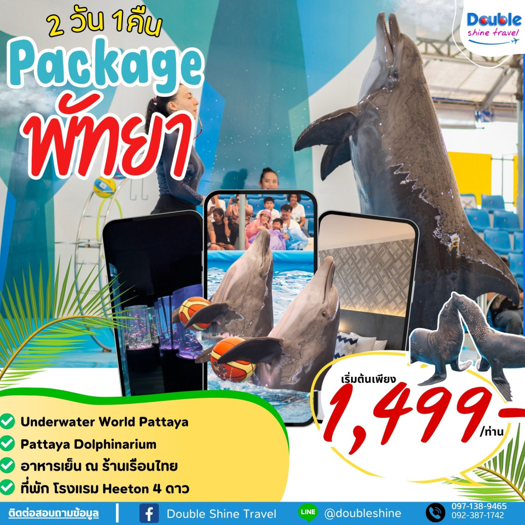 แพ็คเกจพัทยา Underwater World Pattaya + Dolphin show pattaya 2 วัน 1 คืน 2024