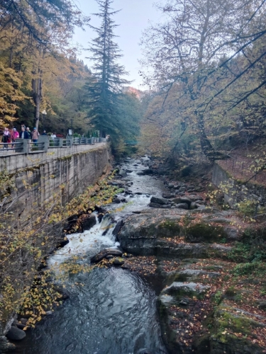 Borjomi Central Park