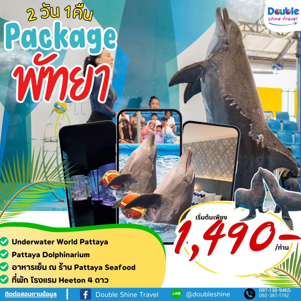 แพ็คเกจพัทยา Underwater World Pattaya + Dolphin show pattaya 2 วัน 1 คืน 2024