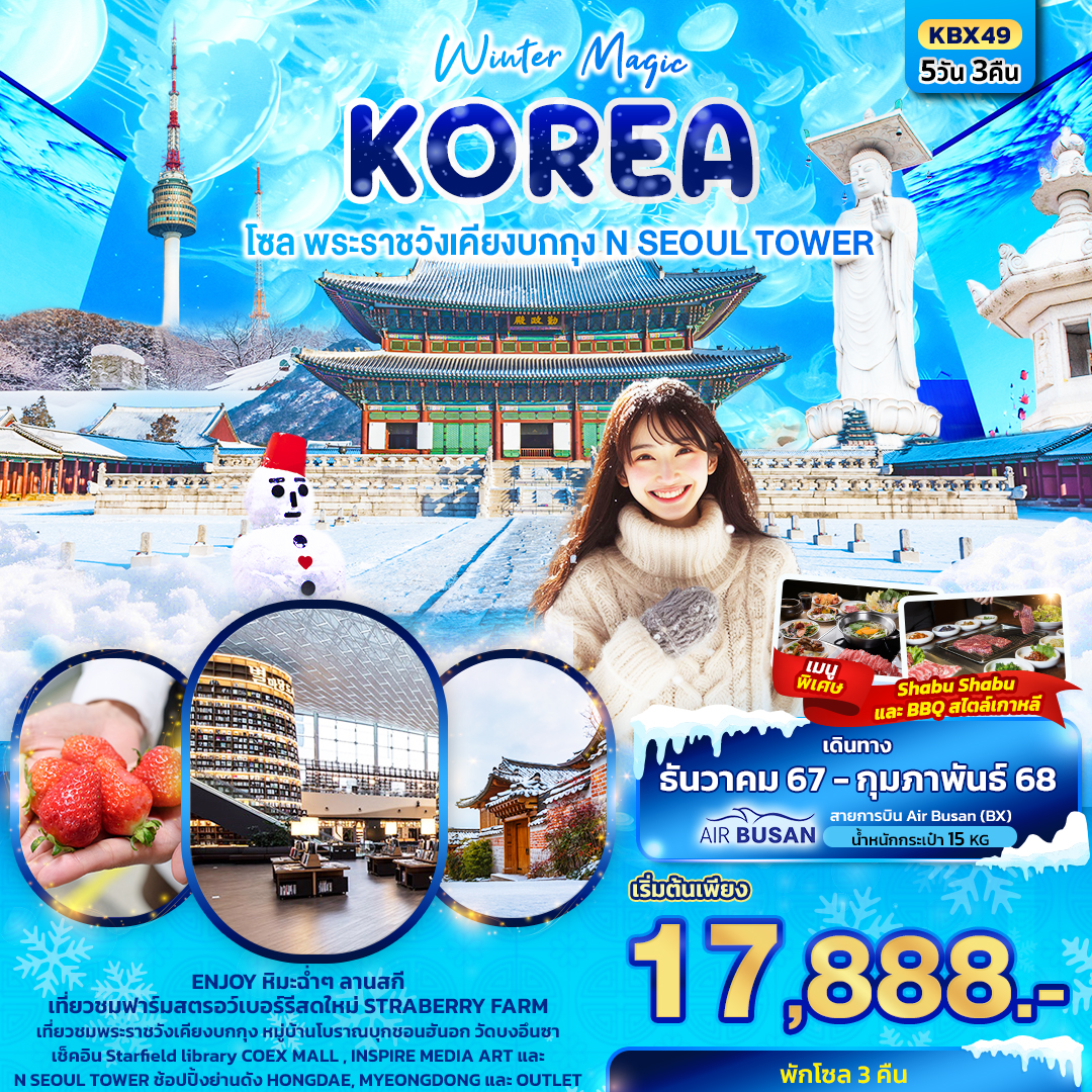 ทัวร์เกาหลี Winter Magic Korea Seoul โซล พระราชวังเคียงบกกุก N SEOUL TOWER - สมาคมเครือข่ายผู้ประกอบการนำเที่ยว