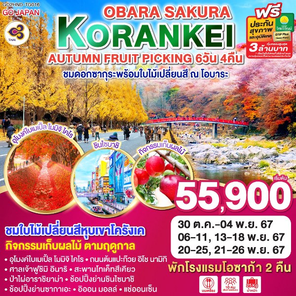 ทัวร์ญี่ปุ่น KORANKEI OBARA SAKURA & AUTUMN FRUIT PICKING - สมาคมเครือข่ายผู้ประกอบการนำเที่ยว