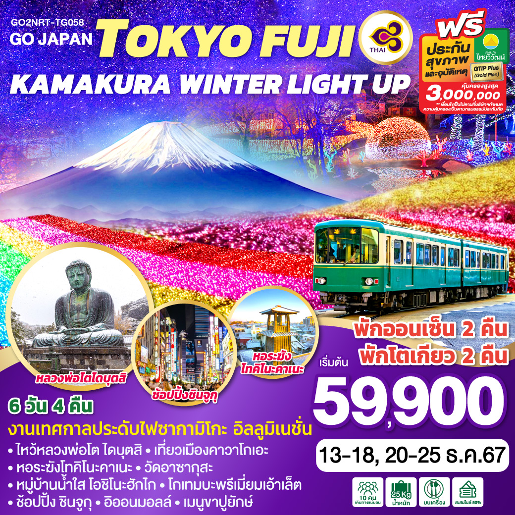 ทัวร์ญี่ปุ่น TOKYO FUJI KAMAKURA WINTER LIGHT UP  - สมาคมเครือข่ายผู้ประกอบการนำเที่ยว