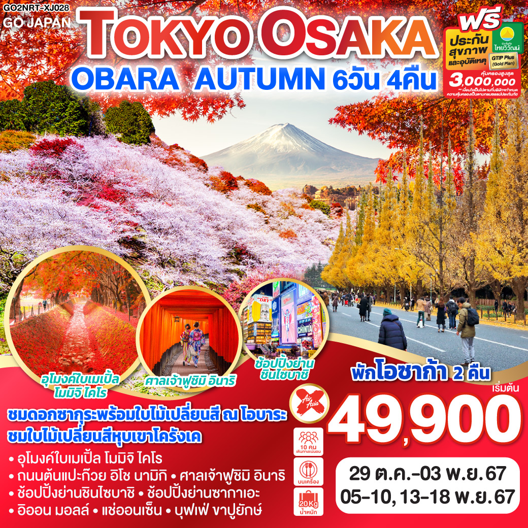 ทัวร์ญี่ปุ่น TOKYO OSAKA OBARA AUTUMN - สมาคมเครือข่ายผู้ประกอบการนำเที่ยว