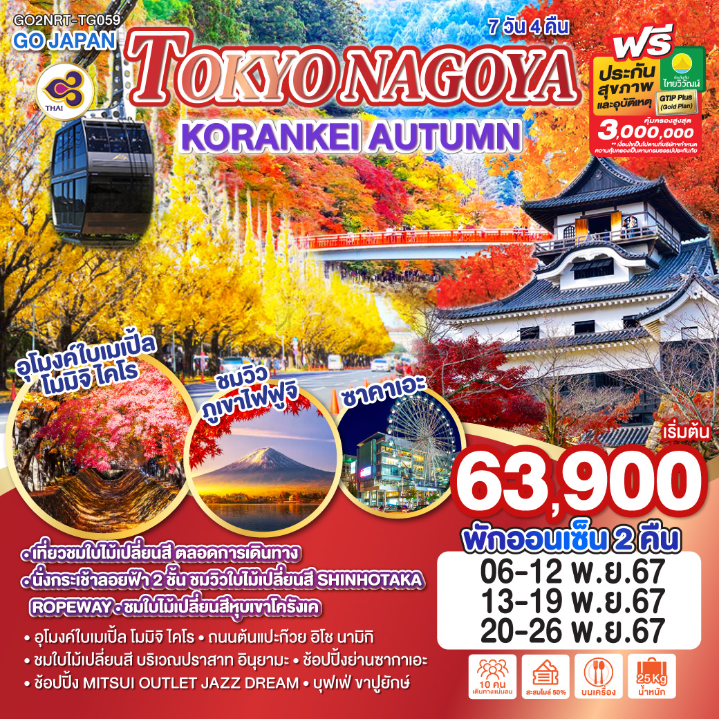 ทัวร์ญี่ปุ่น TOKYO NAGOYA KORANKEI AUTUMN  - สมาคมเครือข่ายผู้ประกอบการนำเที่ยว