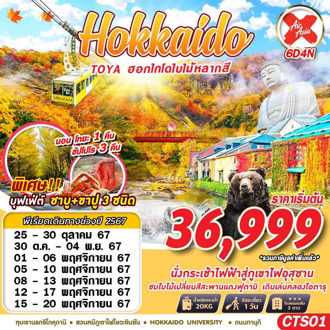 ทัวร์ญี่ปุ่น HOKKAIDO TOYA ฮอกไกโดใบไม้หลากสี (เที่ยวเต็ม) - สมาคมเครือข่ายผู้ประกอบการนำเที่ยว