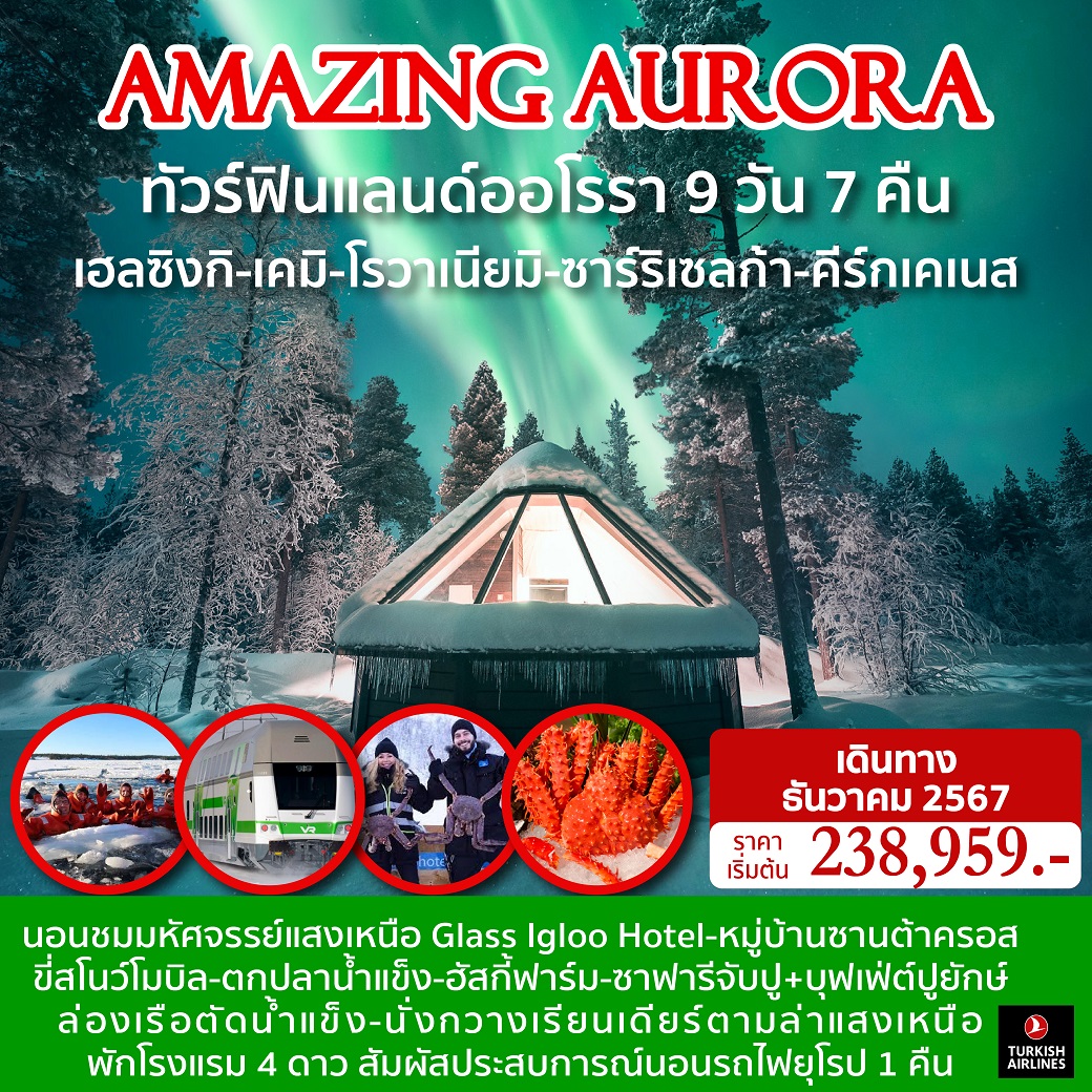 ทัวร์ฟินแลนด์ออโรรา AMAZING AURORA - สมาคมเครือข่ายผู้ประกอบการนำเที่ยว