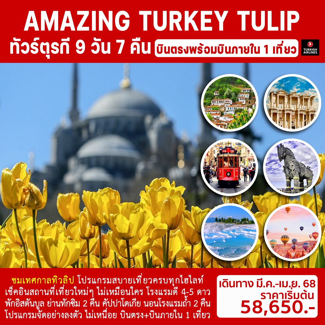 ทัวร์ตุรกี AMAZING TURKEY TULIP - สมาคมเครือข่ายผู้ประกอบการนำเที่ยว