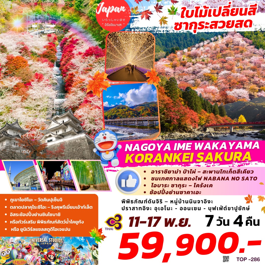 ทัวร์ญี่ปุ่น ใบไม้เปลี่ยนสี ซากุระสวยสด NAGOYA IME WAKAYAMA KORANKEI SAKURA - สมาคมเครือข่ายผู้ประกอบการนำเที่ยว