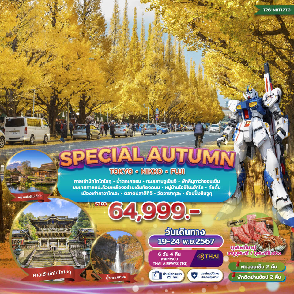 ทัวร์ญี่ปุ่น SPECIAL AUTUMN…TOKYO NIKKO FUJI GINKO FESTIVAL - สมาคมเครือข่ายผู้ประกอบการนำเที่ยว