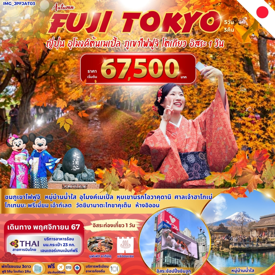 ทัวร์ญี่ปุ่น FUJI TOKYO ญี่ปุ่น อุโมงค์ต้นเมเปิ้ล ภูเขาไฟฟูจิ โตเกียว อิสระ 1 วัน - Imagination Success Co.,Ltd.