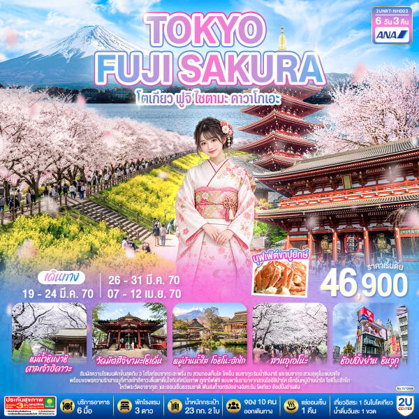 196-B10175-ทัวร์ญี่ปุ่น TOKYO FUJI SAKURA  โตเกียว ฟูจิ ไซตามะ คาวาโกเอะ - บริษัท บลิสฟูล ทราเวล จำกัด